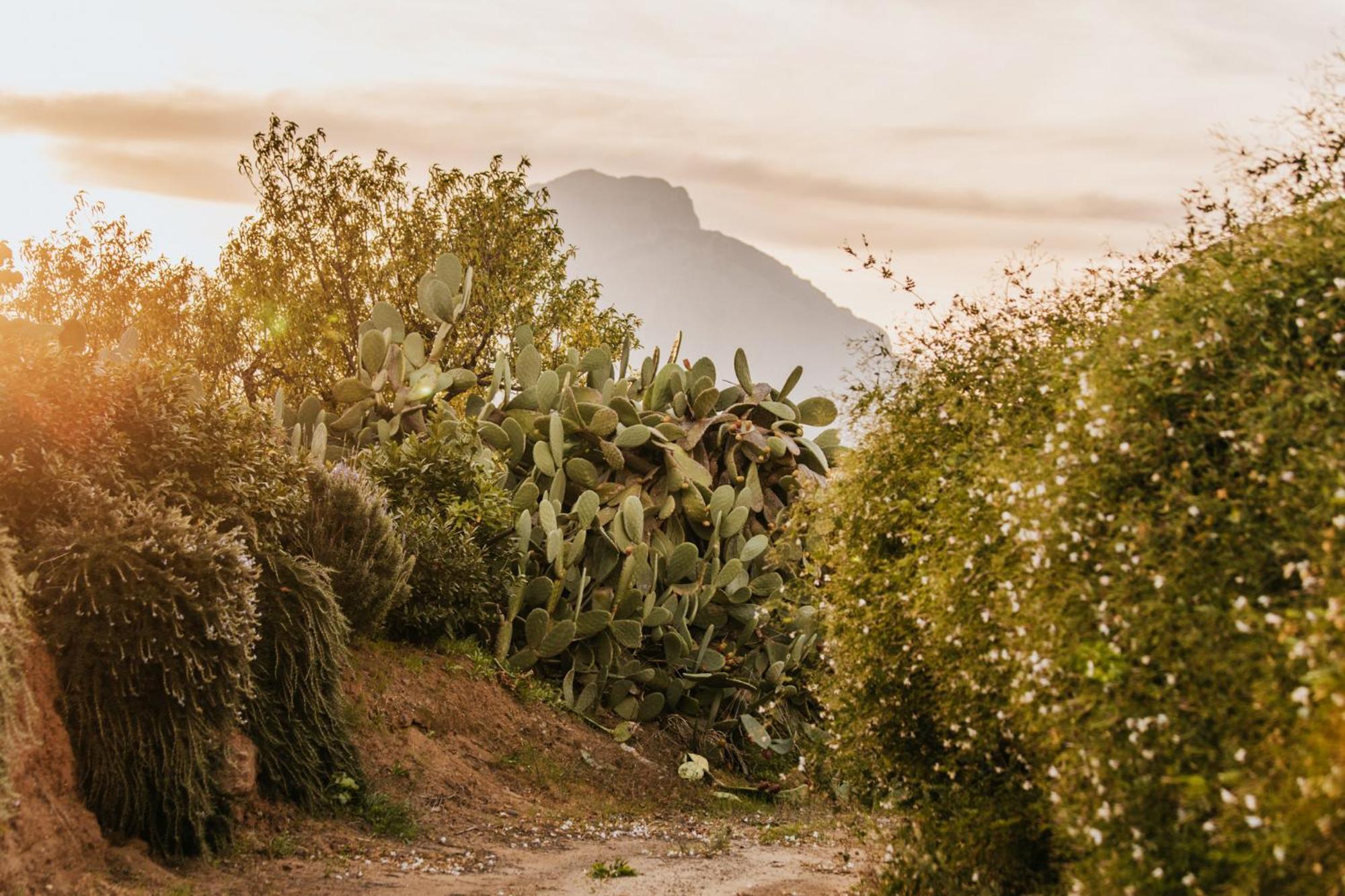 Terre Di Himera Buonfornello Exterior foto